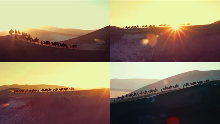 沙漠里的驼队