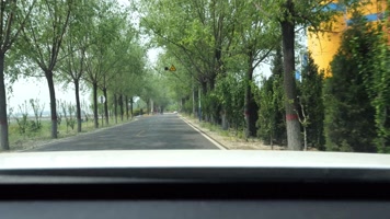 汽车视角 行车视角 公路 沿途风景 自驾游 