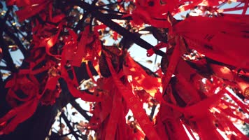 山西大同景区旅游碎片镜头，建筑美食4K实拍