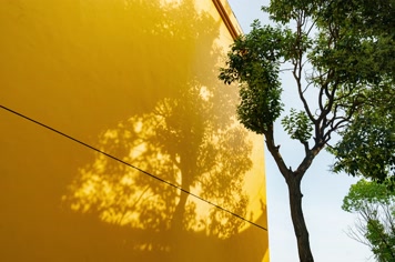 「有版权」原创光影变化延时合集4K