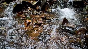 小河流水视频
