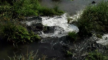 小河流水视频