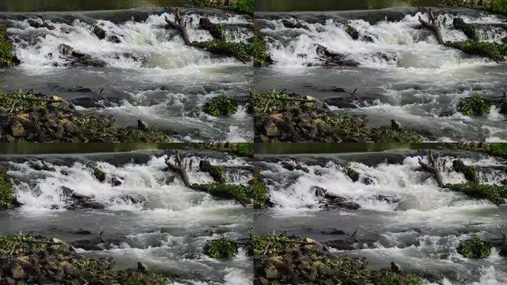 小河流水视频
