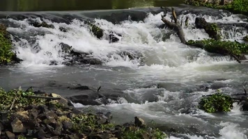 小河流水视频