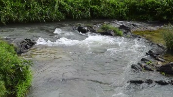 小河流水视频