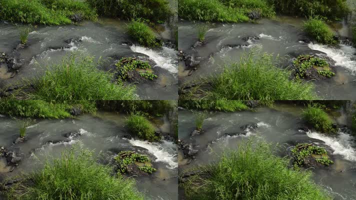 小河流水视频