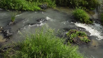 小河流水视频