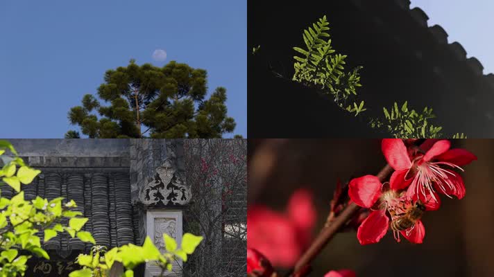 古风园林建筑屋檐绿植光影意境