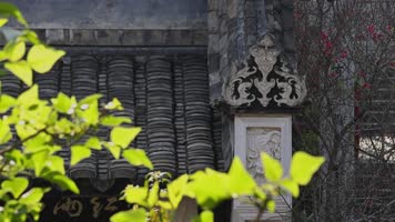 古风园林建筑屋檐绿植光影意境