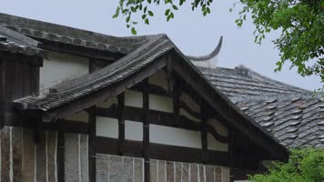 下雨天雨水大雨雨滴雨景合集