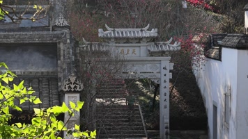 古风园林建筑屋檐绿植光影意境 古风园林建筑屋檐绿植光影意境