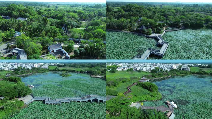 海南风光荷花池里的石拱桥