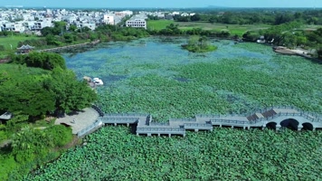 海南风光荷花池里的石拱桥