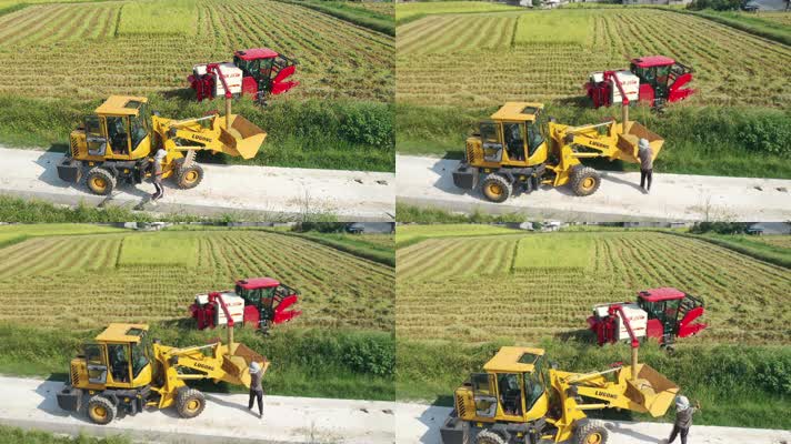 机械收割稻谷