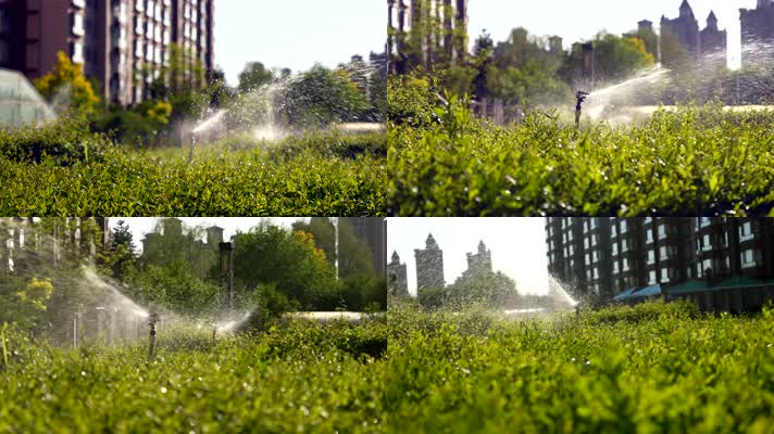 4K浇水喷洒头灌溉绿化植物
