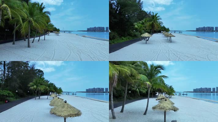 视频 海南风光沙滩椰子树   