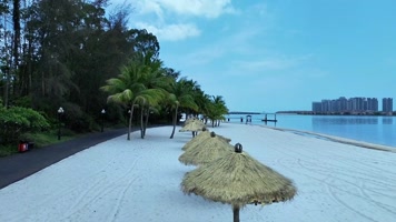 视频 海南风光沙滩椰子树   