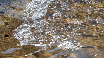 小溪流水特写