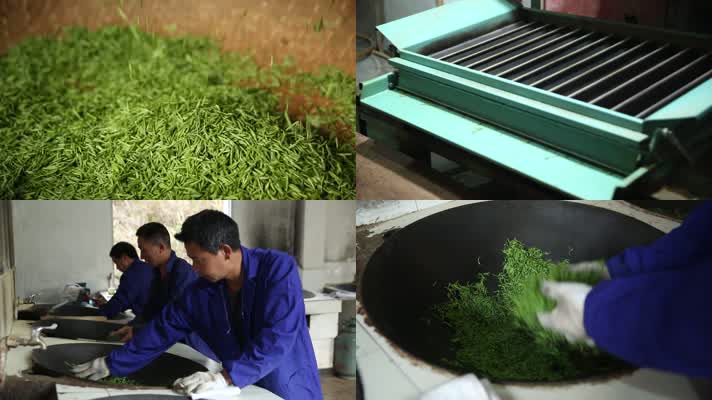 农村茶叶生产加工过程