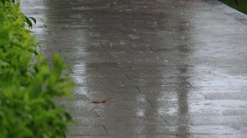 下雨天雨水大雨雨滴雨景合集