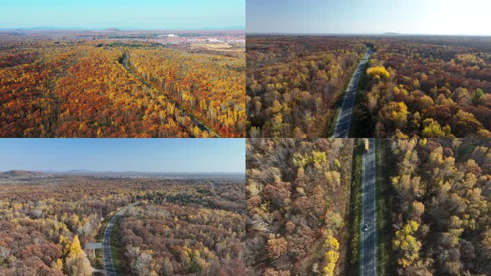 吉林抚松县秋季秋景公路金秋森林航拍