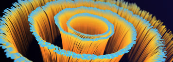 舞台粒子扩散背景效果