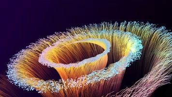 舞台唯美粒子线条花朵背景