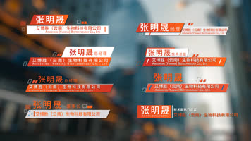 简约人名条字幕条 简约人名条字幕条