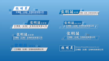 简约人名条字幕条蓝色人名条