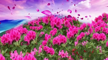 映山红舞蹈版LED高清背景视频