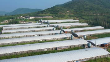 航拍现代牧业养殖场 现代农场 中国农场 畜