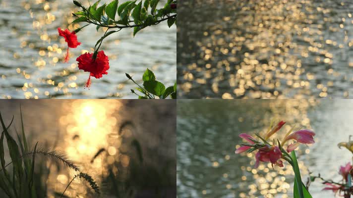 波光粼粼湖面光斑光晕