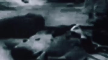 四一二反革命政变  四一二反革命政变