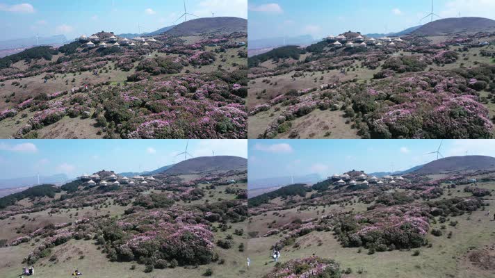 贵州乌蒙大草原花海中的帐篷民宿酒店