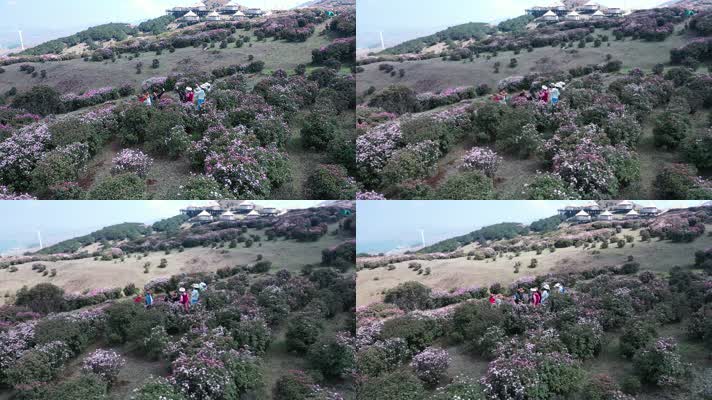 贵州乌蒙大草原花海中的帐篷民宿酒店