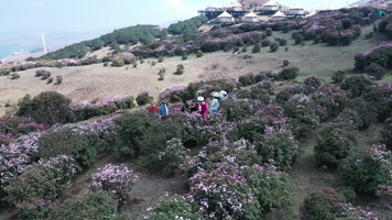 贵州乌蒙大草原花海中的帐篷民宿酒店