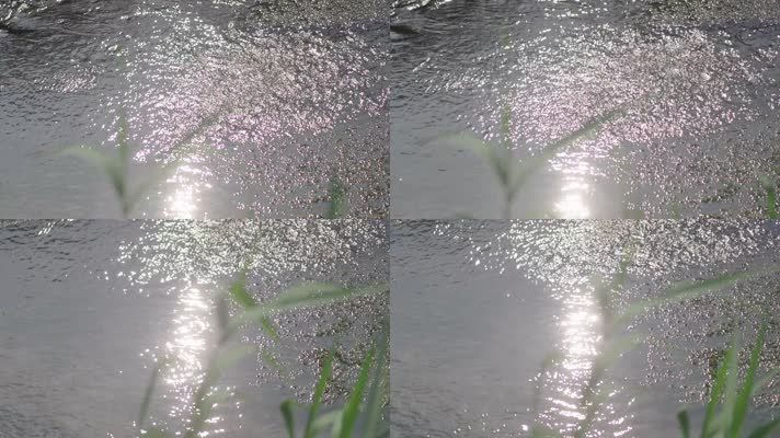 波光粼粼的水面