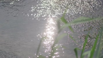 波光粼粼的水面