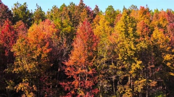 贵州：层林尽染美如画 五彩斑斓惹人醉