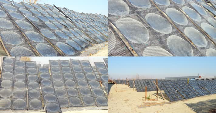 粉皮 晾晒 绿豆粉皮 地瓜粉皮 粉皮加工 