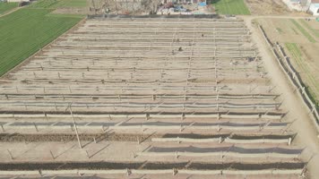 红薯 晾晒 美食 吃粉条 挂粉 地瓜晾粉 粉条