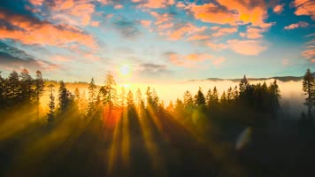 大兴安岭森林云海风光 大兴安岭森林云海风光