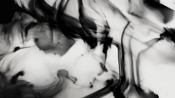 「有版权」黑白水墨在水中晕染扩散合集4K
