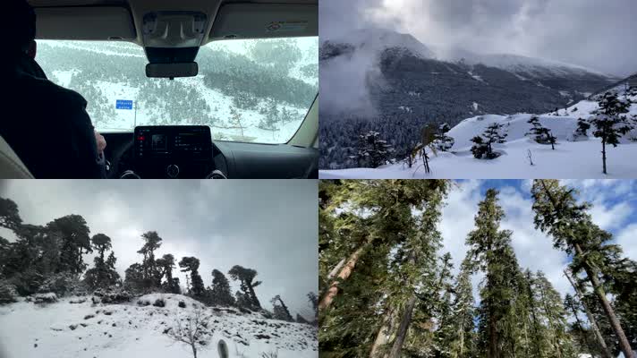 「有版权」冬天车窗外风景合集4K-1