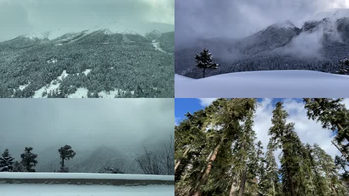 「有版权」冬天车窗外风景合集4K