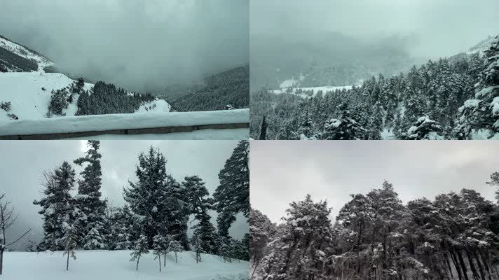 「有版权」冬天车窗外风景合集4K-2