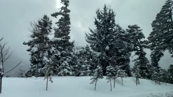 「有版权」冬天车窗外风景合集4K-2