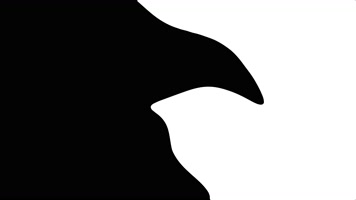 卡通水流液体MG运动图形转场 (33)卡通水流液体MG运动图形转场4K视频