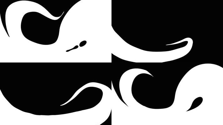 卡通水流液体MG运动图形转场 (36)卡通水流液体MG运动图形转场4K视频