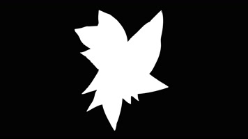 卡通水流液体MG运动图形转场 (51)卡通水流液体MG运动图形转场4K视频